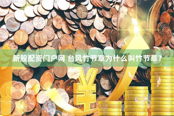 新股配资门户网 台风竹节草为什么叫竹节草？