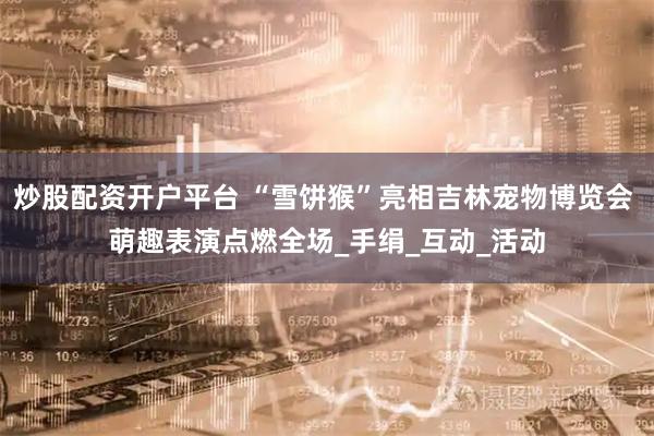 炒股配资开户平台 “雪饼猴”亮相吉林宠物博览会 萌趣表演点燃全场_手绢_互动_活动