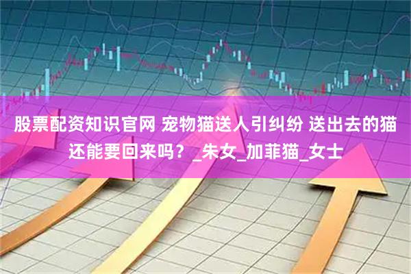 股票配资知识官网 宠物猫送人引纠纷 送出去的猫还能要回来吗？_朱女_加菲猫_女士